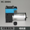 HC300DC噴碼泵 直流微型水泵